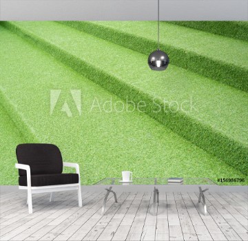 Image de Artificial grass installed over concrete staircase